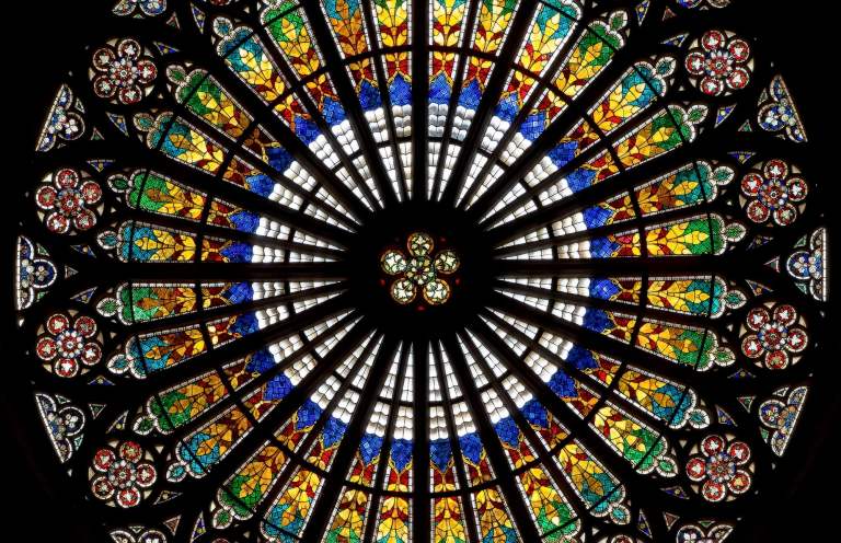 Rose d'Erwin - Franck Charles